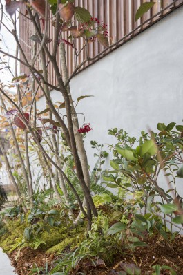 設計工房フウカ|FUUCA ARCHITECTURAL DESIGN|奈良