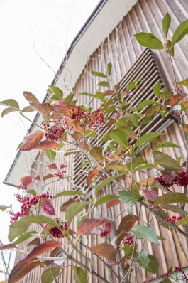 設計工房フウカ|FUUCA ARCHITECTURAL DESIGN|奈良