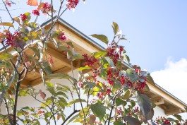 設計工房フウカ|FUUCA ARCHITECTURAL DESIGN|奈良