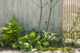 設計工房フウカ|FUUCA ARCHITECTURAL DESIGN|奈良