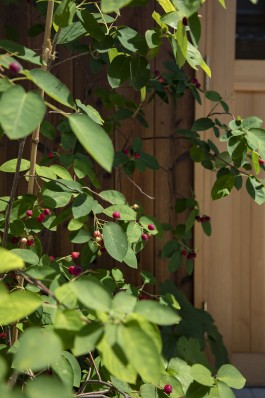 設計工房フウカ|FUUCA ARCHITECTURAL DESIGN|奈良