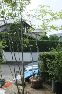 設計工房フウカ｜FUUCA ARCHITECTURAL DESIGN｜奈良